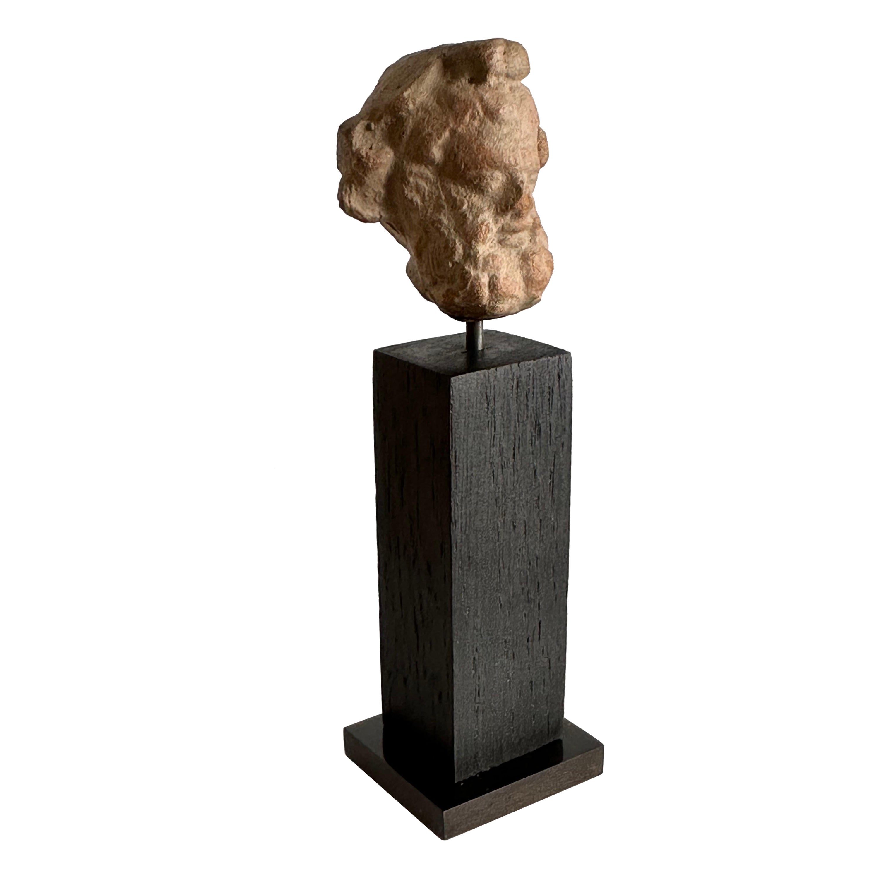 Cabeza de hombre barbudo, terracota, Magna Grecia, siglo IV antes de Cristo