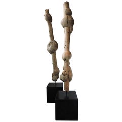  Sculptures d'arbres broomés bois de broussin