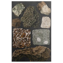 Grabado original antiguo de Meteoritos. C.1900