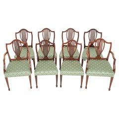 Used Set Hepplewhite Dining Chairs - 8 Mahogany Diners