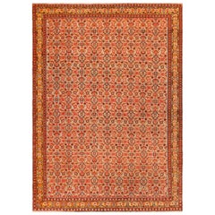 Gorgeous Allover Design Antique Persian Senneh Rug 4'2" x 5'10"