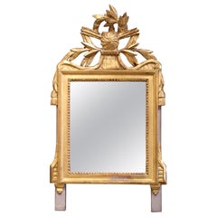 18th Century French Louis XVI Carved Giltwood Wall Mirror from Provence