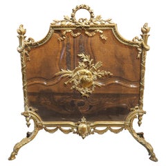 19th Century French Louis XVI Style Bronze Firescreen with Musical Trophy