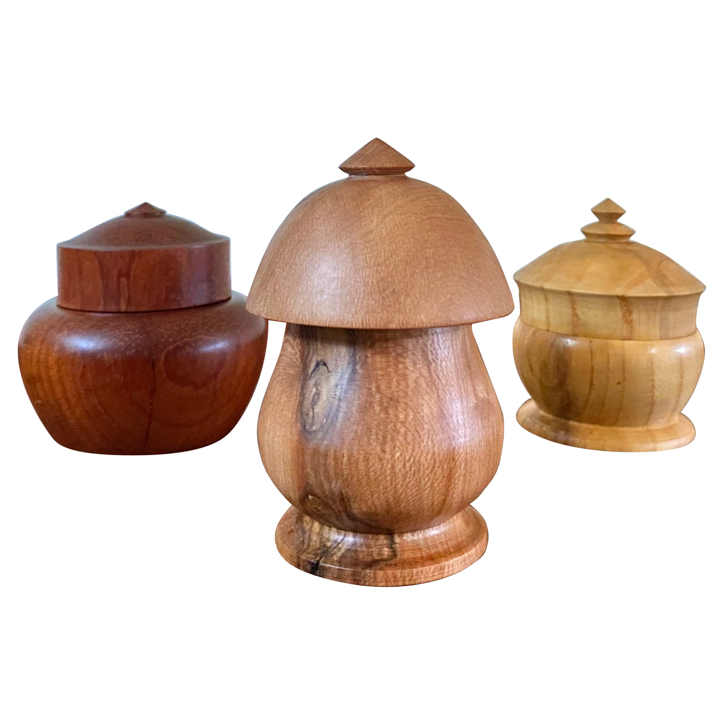 Trio de vases sculpturaux minimalistes exotiques en bois dur tourné