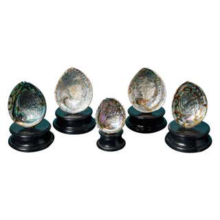 Sculptural Abalone Shell with Baroque Pearls on a Polished Agate Base ...