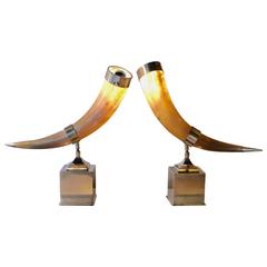 Vintage 1970s Mounted Horns Lamps