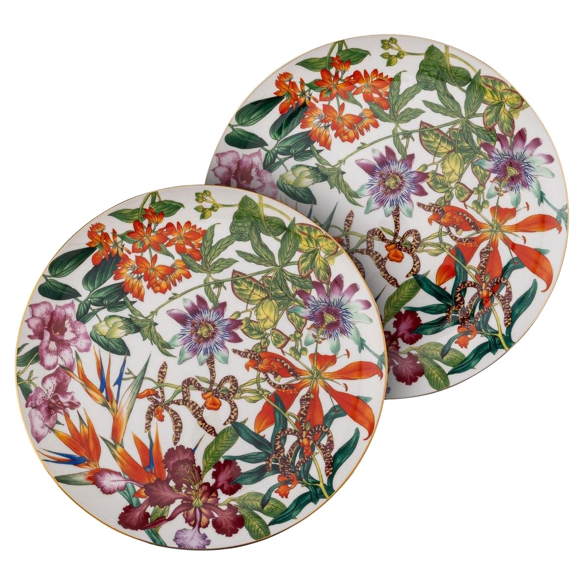 French Ceramic Passifolia Pair Of Dinner Plates By Hermes