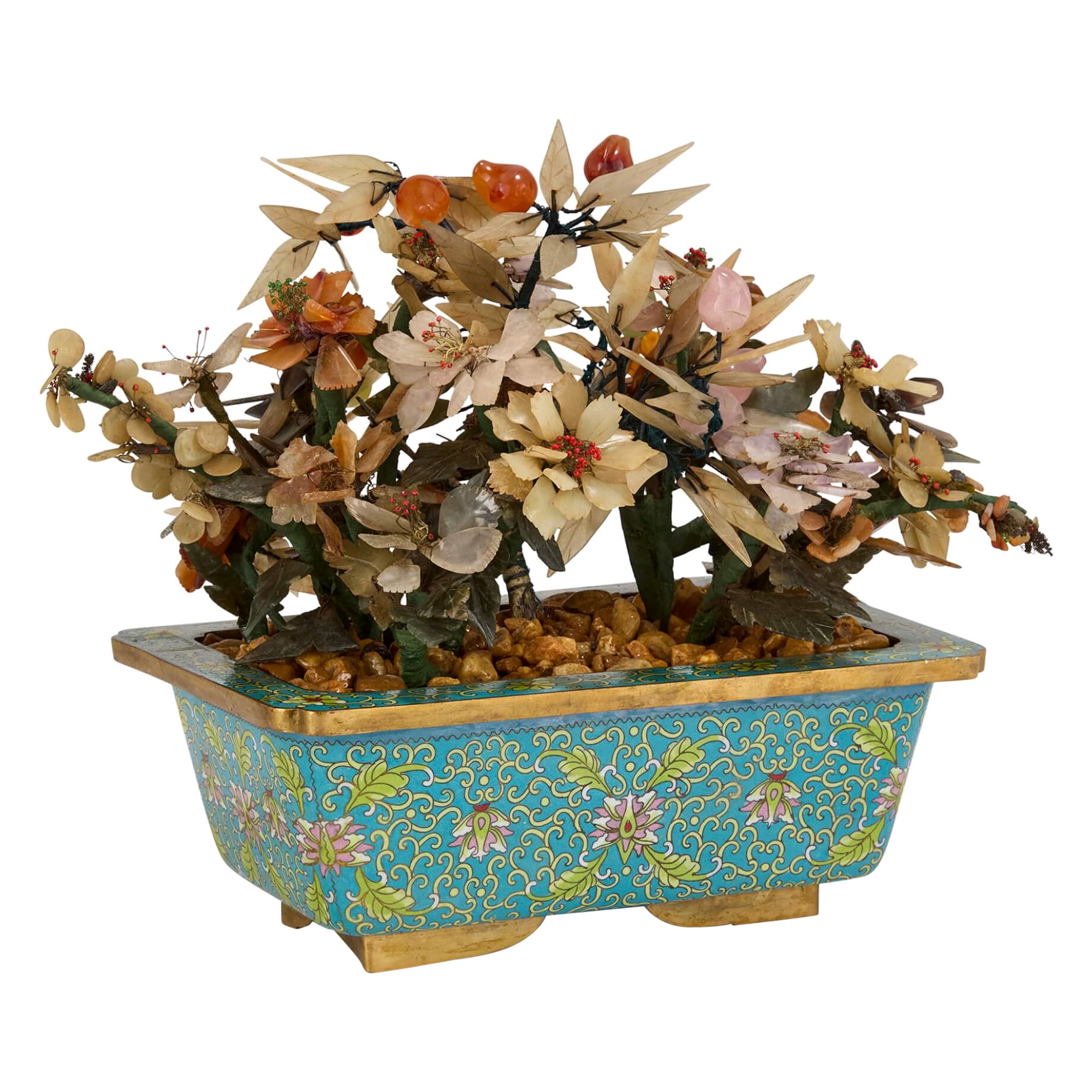What type of pot is best for a jade plant?