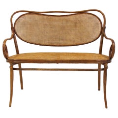 Divano in bengala e rattan secessionista di Vienna dei fratelli Thonet