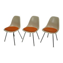 Set of Three Parchment Fiberglass DSX Side Chairs By Eames for Herman Miller