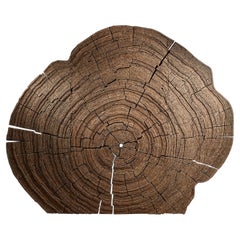 Depths Of Antiquity Wall Decoration by TOR-Design