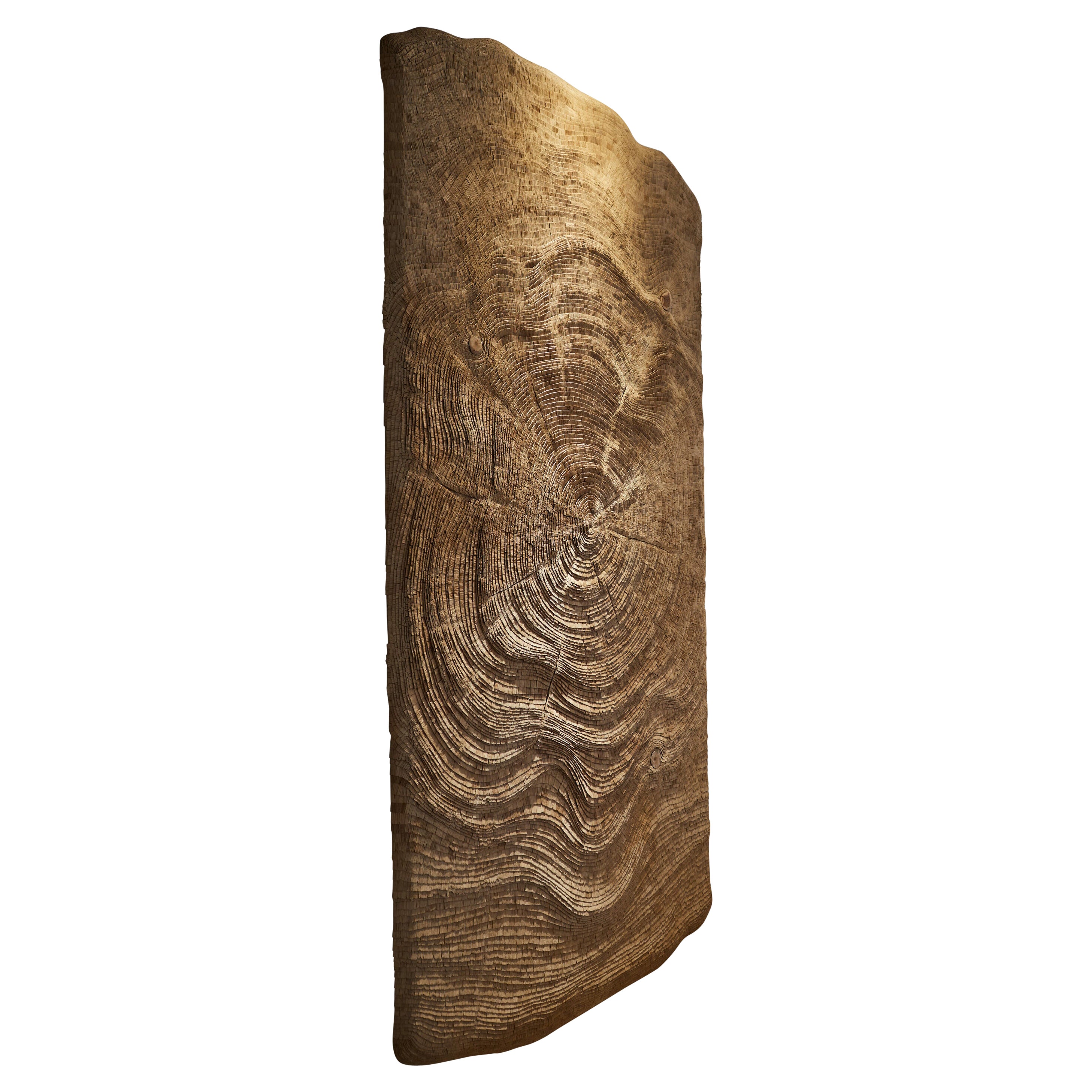 Waves Of Ages Decoración de pared por TOR-Design