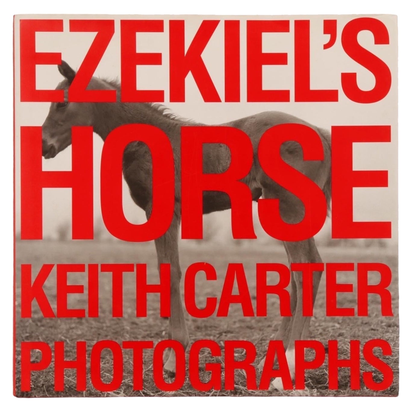 Ezekiel's Horse Keith Carter Photographs