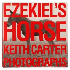 Il cavallo di Ezechiele Keith Carter Fotografie