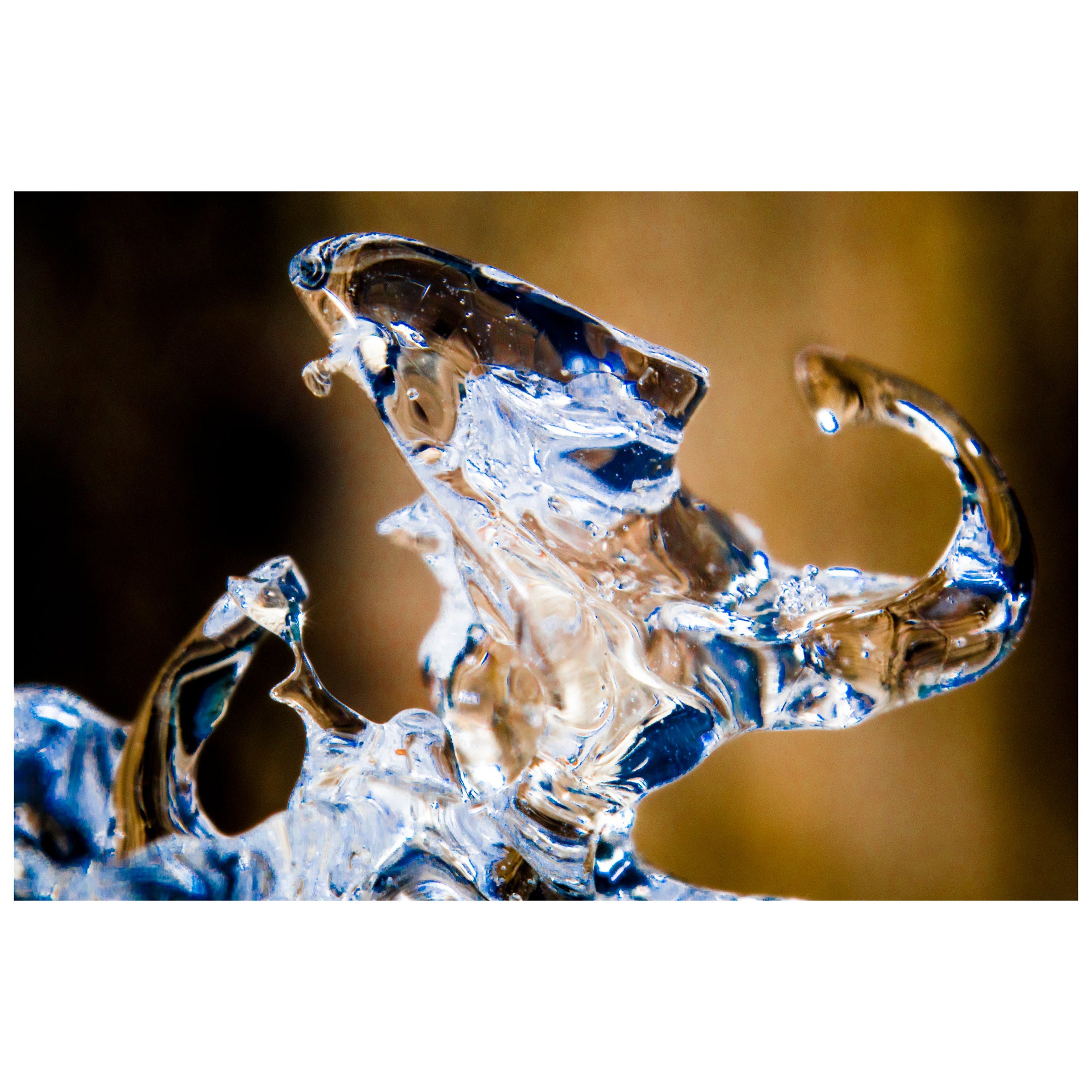 "Leo", edizione limitata, fotografia astratta di Marko Milić