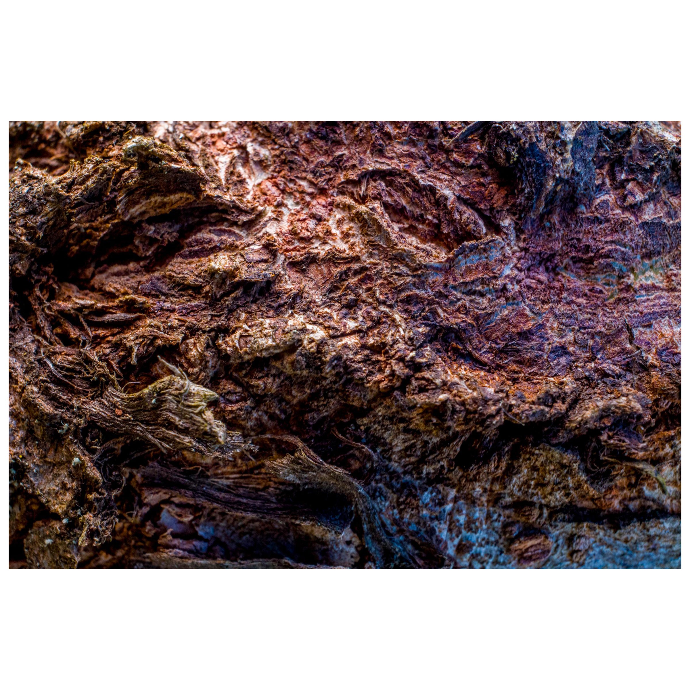 "La tana del drago", edizione limitata, fotografia astratta di Marko Milić in vendita