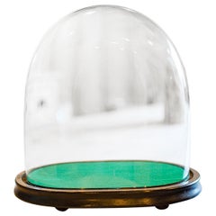Large Dôme d'Horloge Antique, Anglais, Verre, Pin, Vitrine, Victorien, 1860