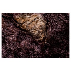 "Hurlement de terreur", édition limitée, photographie abstraite de Marko Milić.