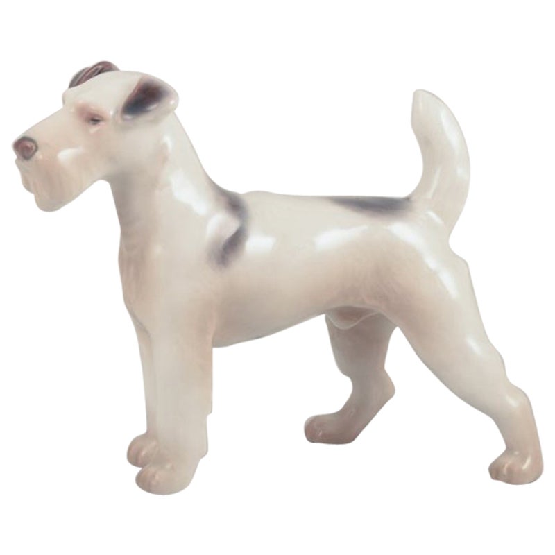 Bing & Grøndahl, Porzellanfigur eines Wire Fox Terriers. 1930s