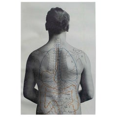 Original Vintage Medical Print- Stomach, circa 1900