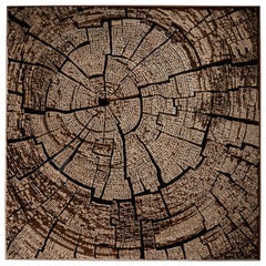 Tree Labyrinth Wall Decoration by TOR-Design