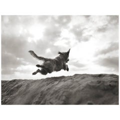 Richard Phibbs Fine Art Print- HUCK IS SO HAPPY