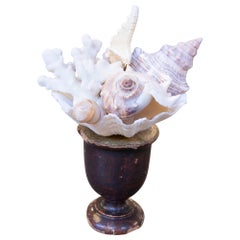 Sculpture with Seashell Assemblage and antique wood Base