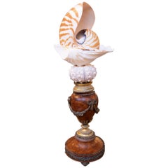 Sculpture with Seashells with Antique french base with bronze
