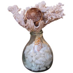 Skulptur mit montierten Muscheln und Glasfuß