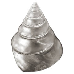 Richard Phibbs Fine Art Print- Shell IV Water Island