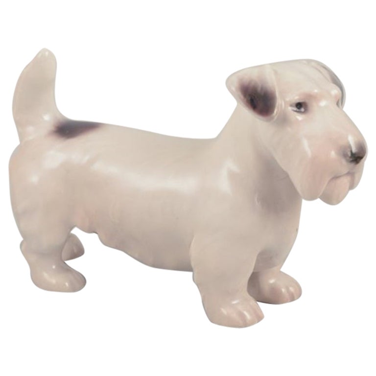 Bing & Grøndahl, figurita de porcelana de un Sealyham Terrier.
