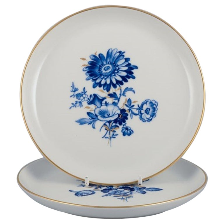 Meissen, Alemania. Dos placas. Decorada a mano con motivos florales azules. en venta