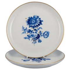 Meissen, Germania. Due tavole. Decorato a mano con motivi floreali blu.