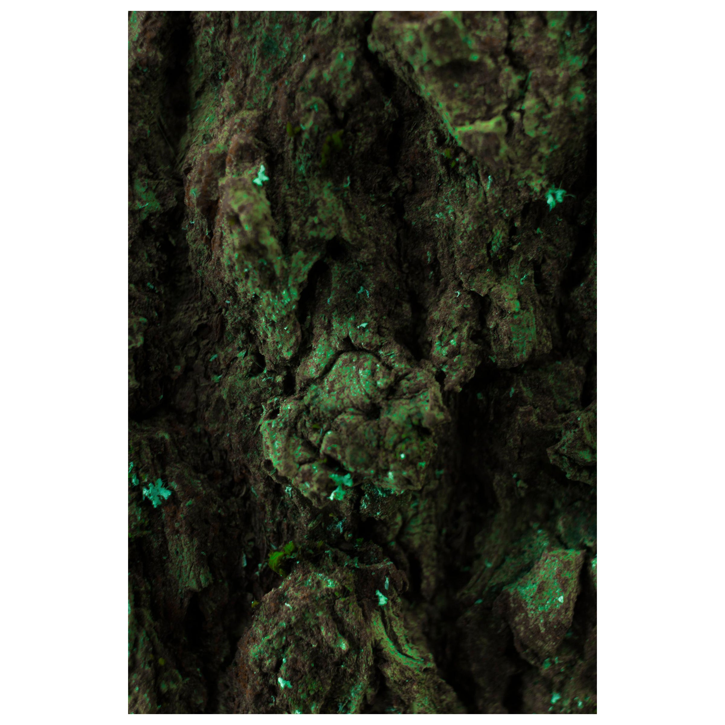 "Jungling", edizione limitata, fotografia astratta di Marko Milić