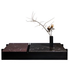 Paulinista Coffee Table by Studio Daniel K