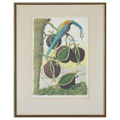 Karl Axel Pehrson Botanical Motif With Bird, Color Lithograph