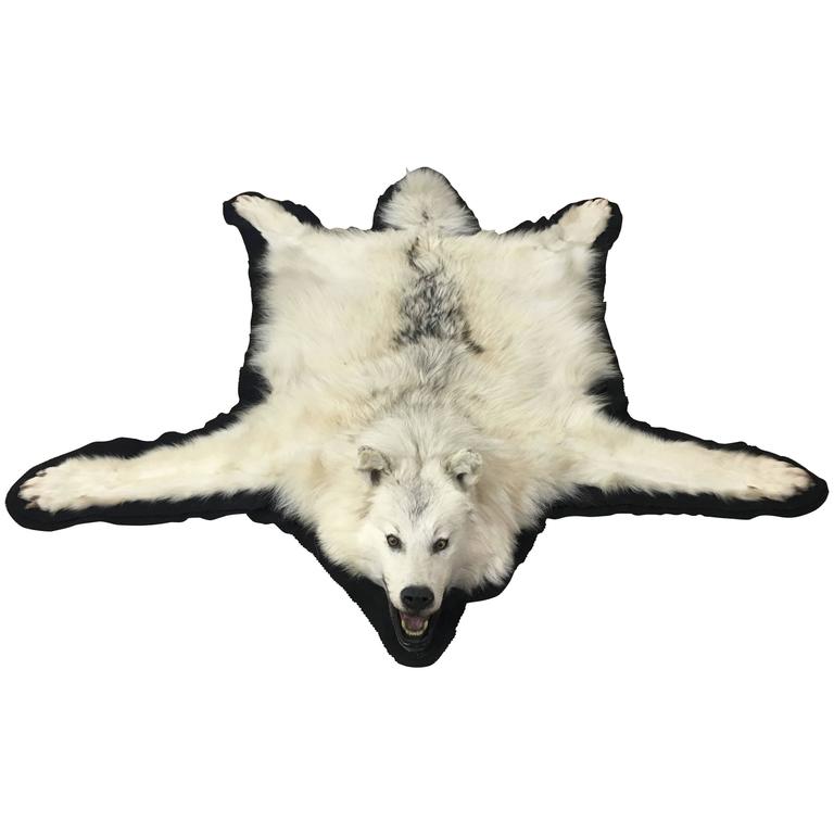 Vintage White Wolf Skin Rug For Sale at 1stdibs