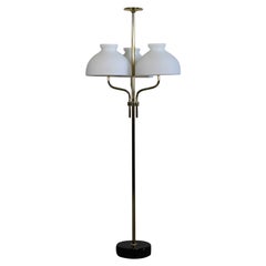 Ignazio Gardella Arenzano Floor Lamp in Brass and Opaline Glass by Azucena 1970s