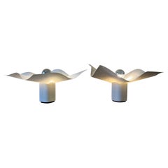 A pair of Area 50 (20) table lamp by Mario Bellini for Artemide