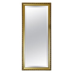 Un long miroir décoratif étroit et doré  Une pièce délicieuse, le miroir a
