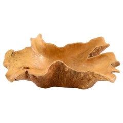 Natural Tree Trunk Decorative Bowl