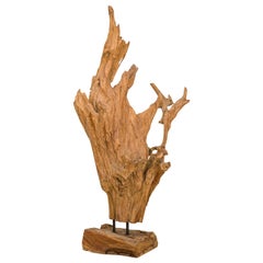 Scultura di radici di albero di teak asiatico selvaggio della metà del secolo scorso