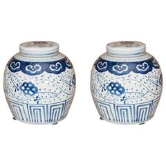 Vintage Pair of Chinese Export Porcelain Ginger Jars