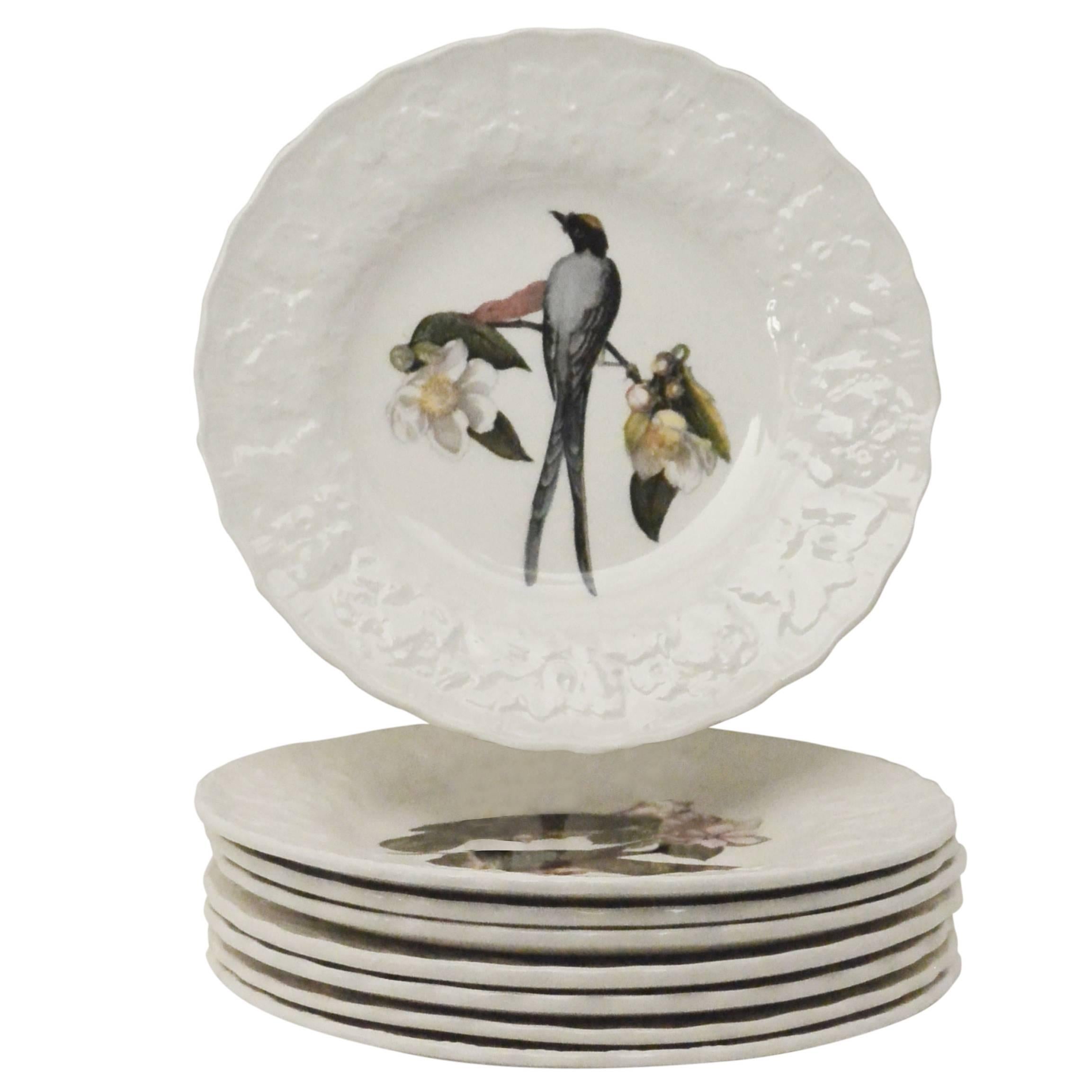 Set of Eight Small Audubon Bird Plates