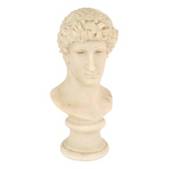 Buste d'homme en résine néoclassique italienne