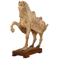 Cavallo rampante di argilla Tang Dynasty