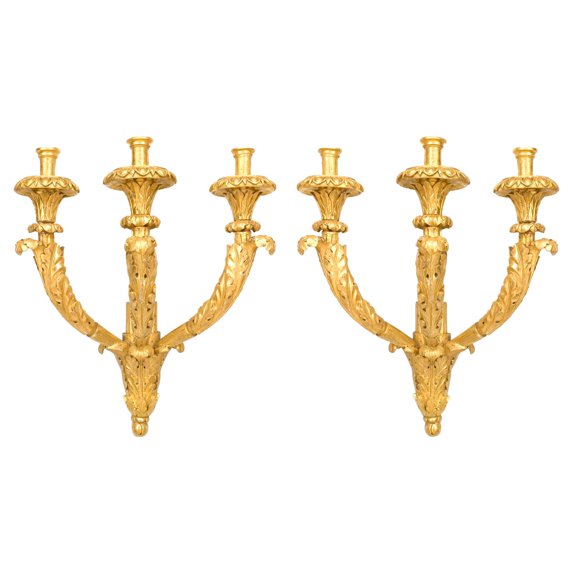 Pair of Italian Neoclassic Gilt Wood Carved Wall Sconces