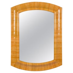 Karl Springer American Mid-Century Light Brown Snakeskin Frame Wall Mirror