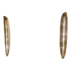 Mid-Century Pair of Gold Murano Glass Wall Lights in the style of Barovier