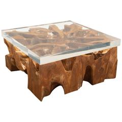 Large Lucite and Wood Coffee Table
